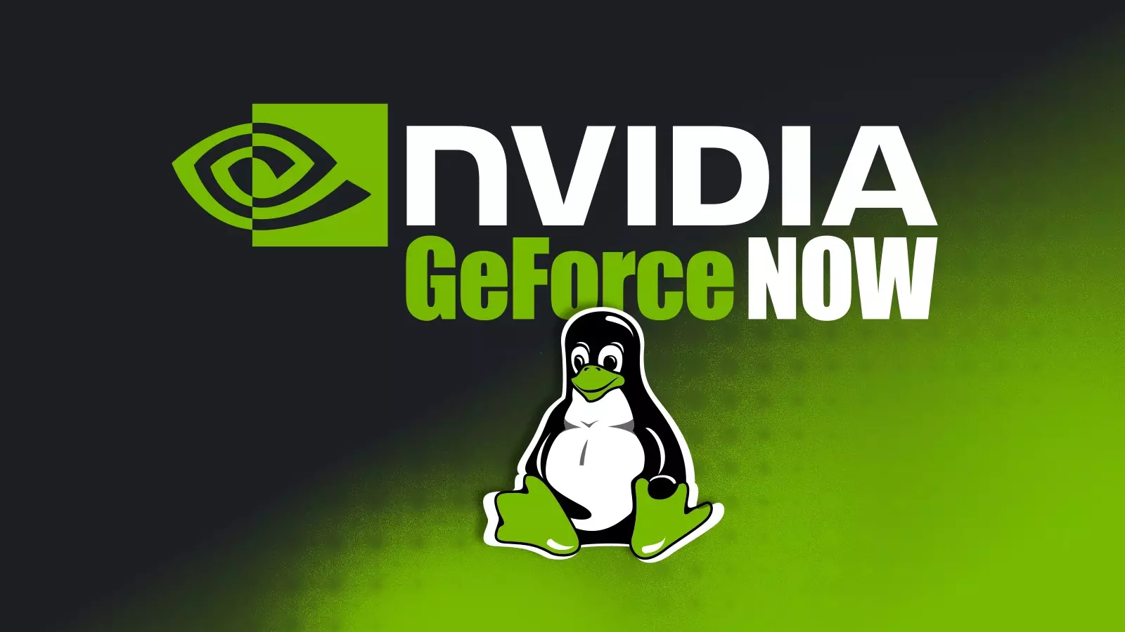 NVIDIA frappe fort GeForce NOW débarque en natif sur Linux et Fire TV avec des performances bluffantes