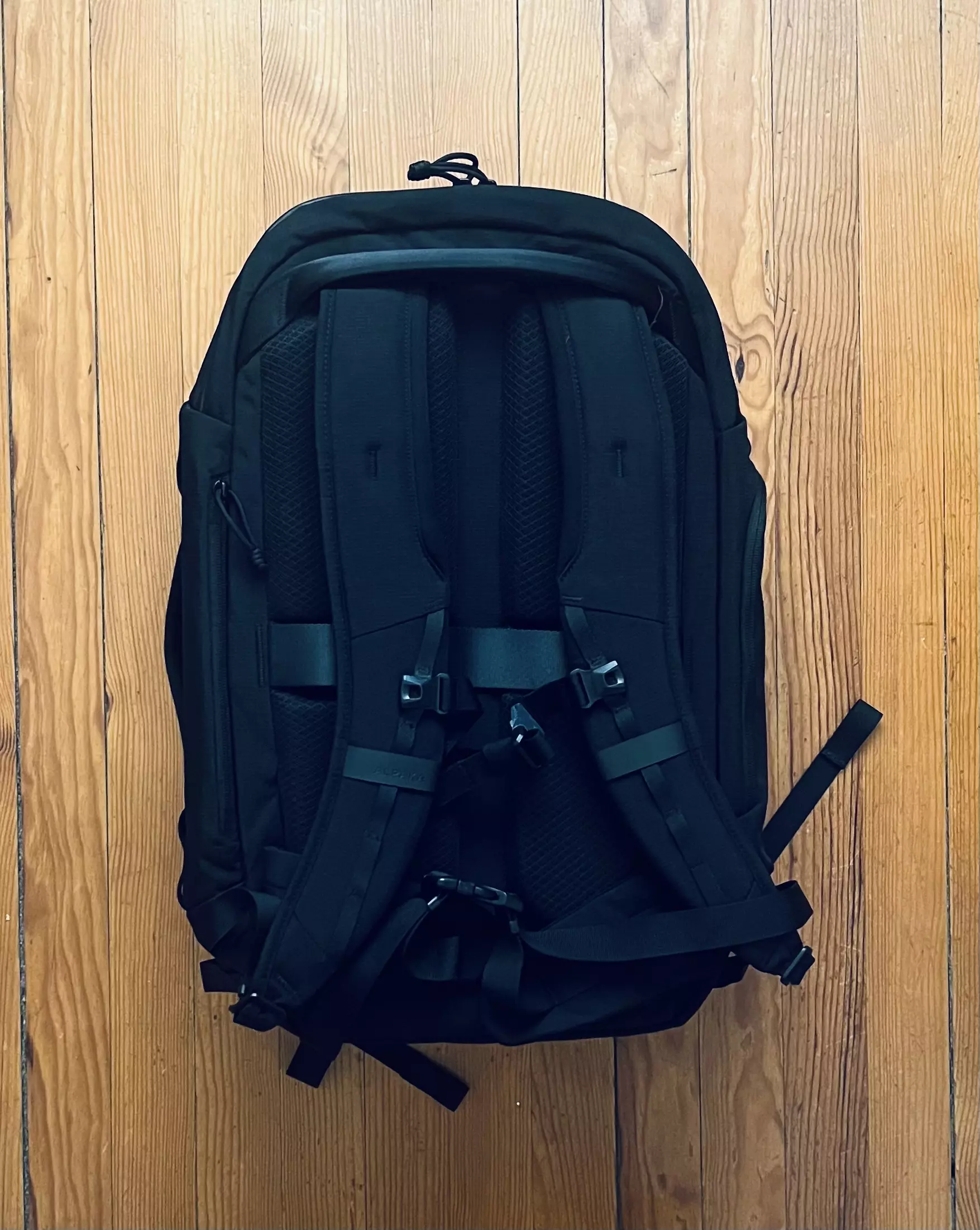 Dos de l'ALPAKA Traverse 38L avec bretelles rembourrées, sangle pectorale et ceinture ventrale