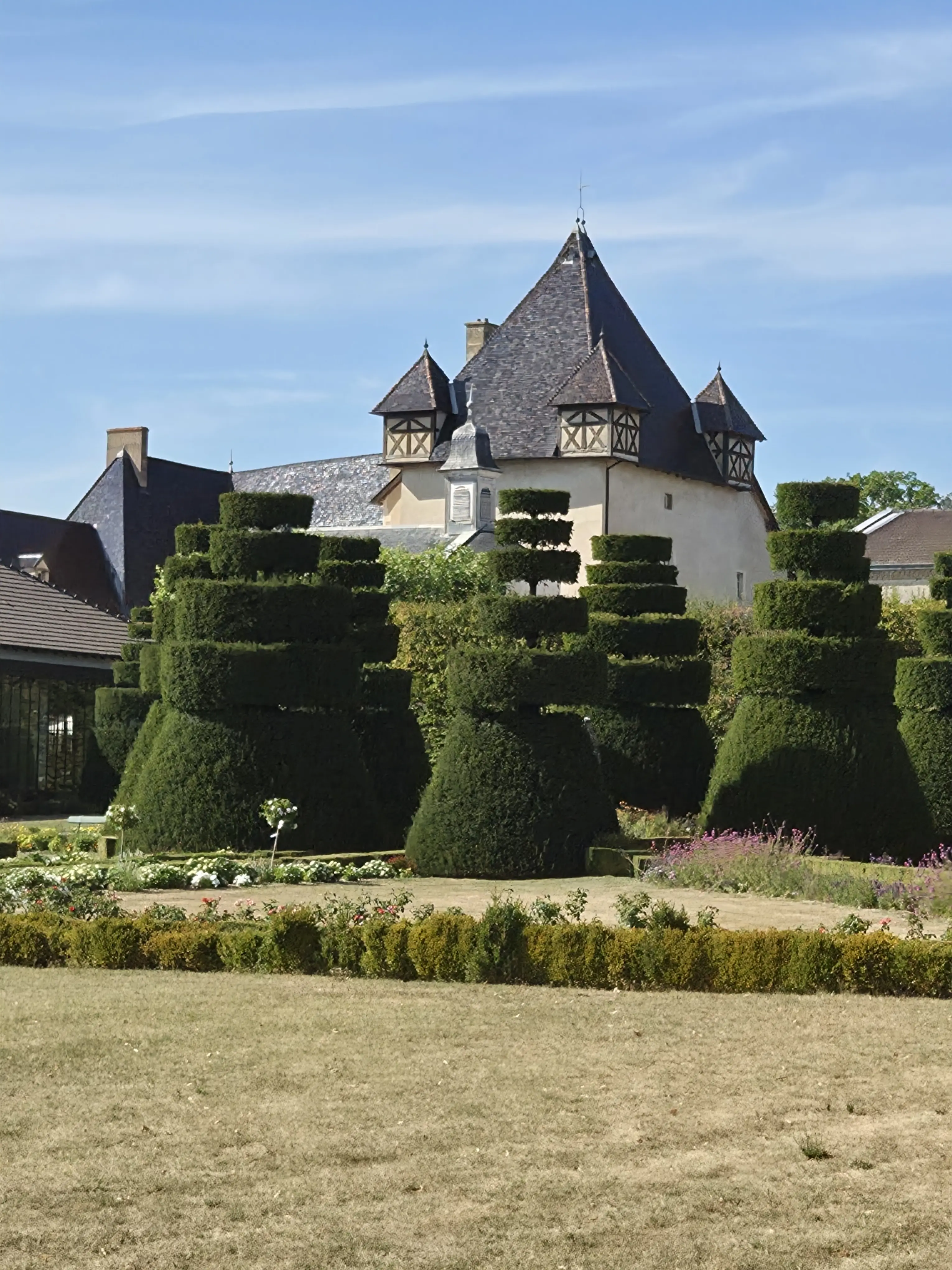 Bâtiment ancien derrière des arbres taillés photographié avec le Galaxy Z Fold8